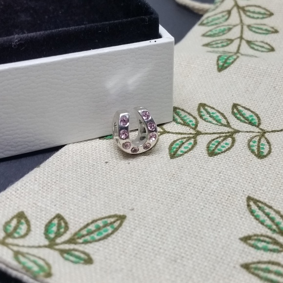 Hobby Lobby Jewelry - NWOT Silver Horse Shoe PURPLE CZ Insert Charm